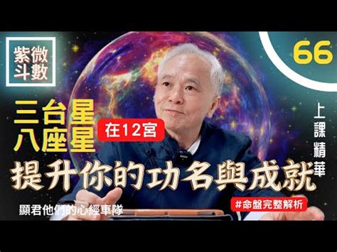 三台八座命宮|紫微斗數中主科甲的星曜——八座